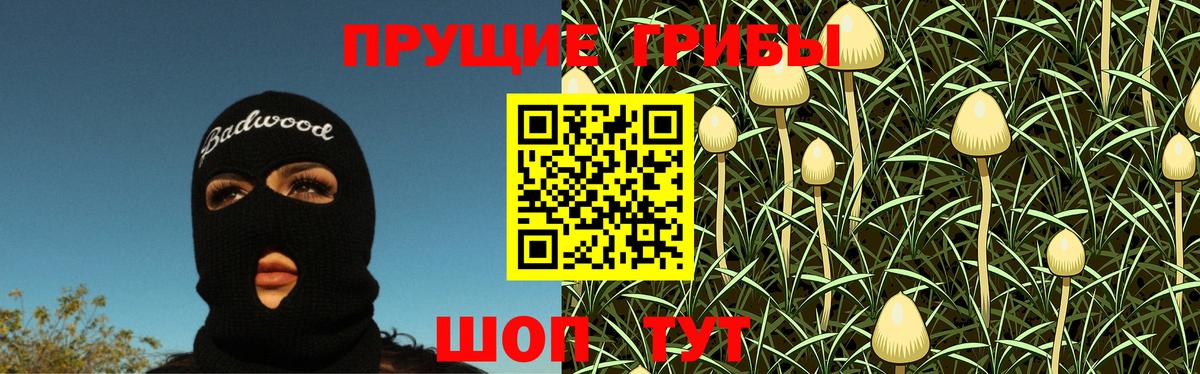 Галлюциногенные грибы Cubensis Улан-Удэ