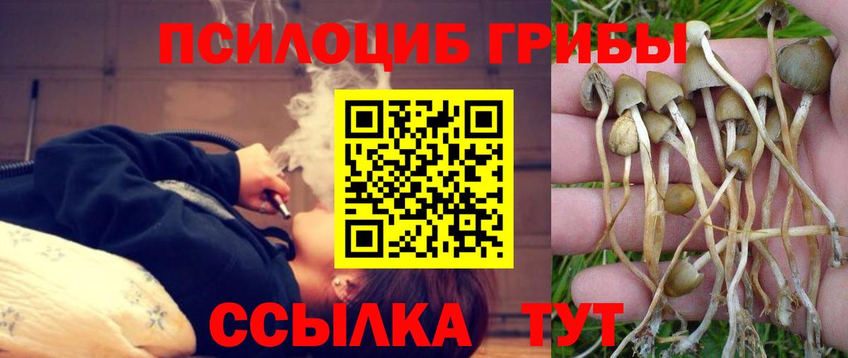 Галлюциногенные грибы Magic Shrooms  Вход с VPN  Улан-Удэ  Псилоцибиновые грибы Psilocybine cubensis 